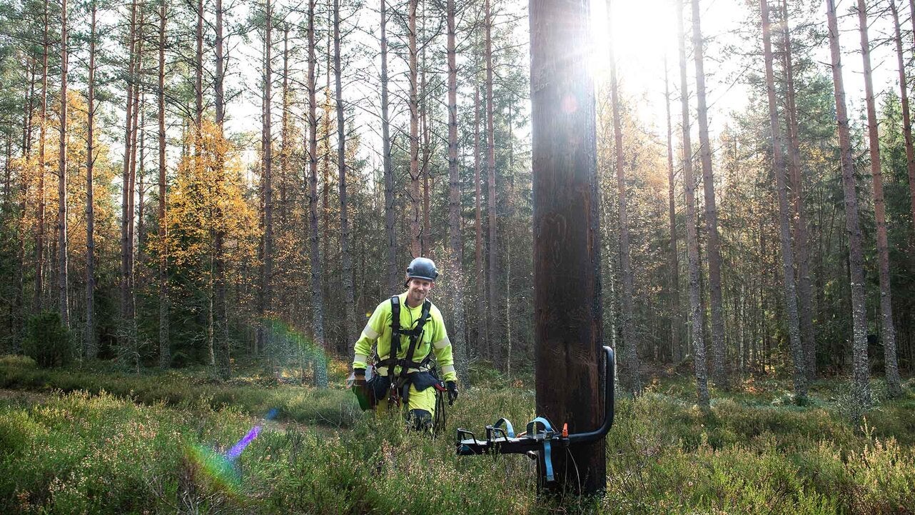 En tekniker i arbetskläder och hjälm inspekterar en elstolpe i ett skogsområde med tallar, med solen som skiner genom träden i bakgrunden.