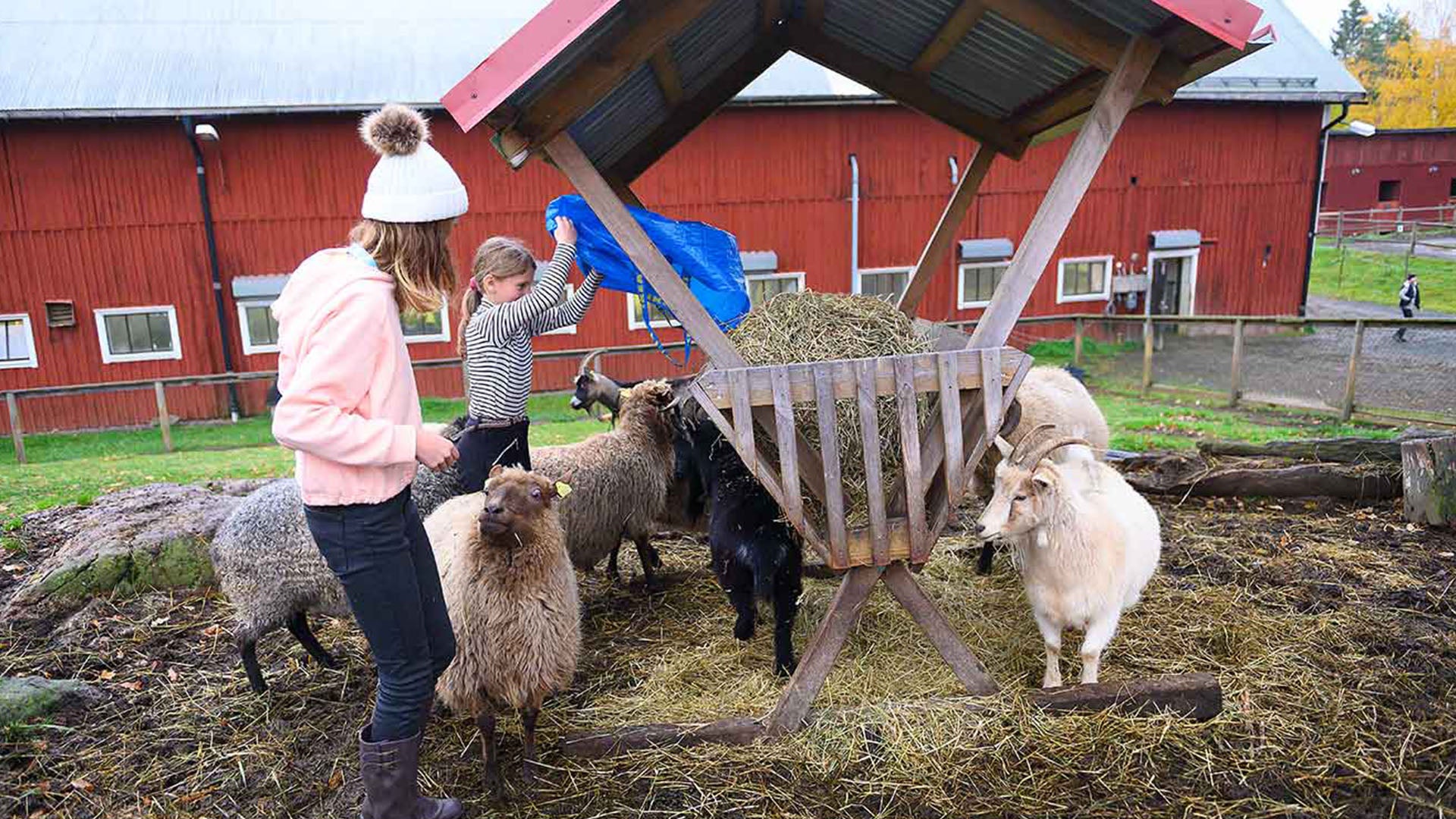 vissmålen-barn-matar-getter.jpg